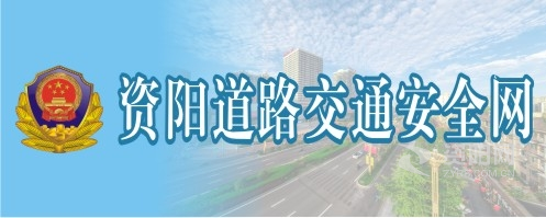 https.//zk6.top/dwrg/资阳道路交通安全网